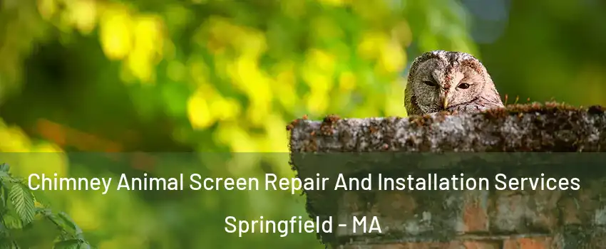  Chimney Animal Screen Repair And Installation Services Springfield - MA
