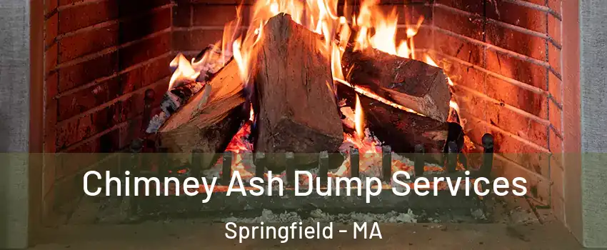  Chimney Ash Dump Services Springfield - MA