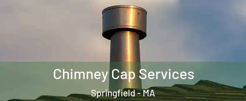  Chimney Cap Services Springfield - MA