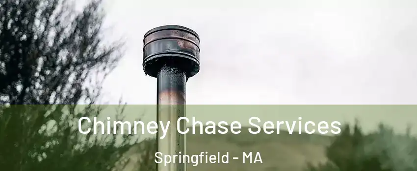  Chimney Chase Services Springfield - MA