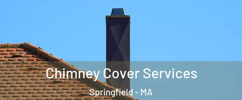  Chimney Cover Services Springfield - MA
