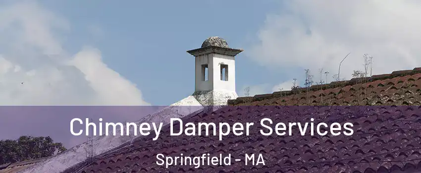  Chimney Damper Services Springfield - MA