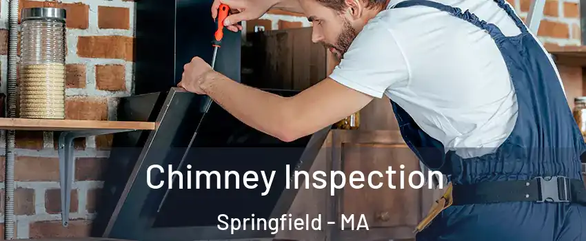  Chimney Inspection Springfield - MA
