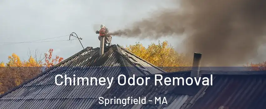  Chimney Odor Removal Springfield - MA