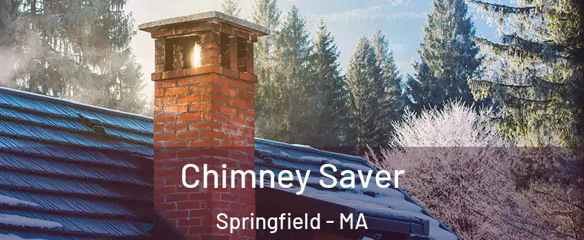  Chimney Saver Springfield - MA