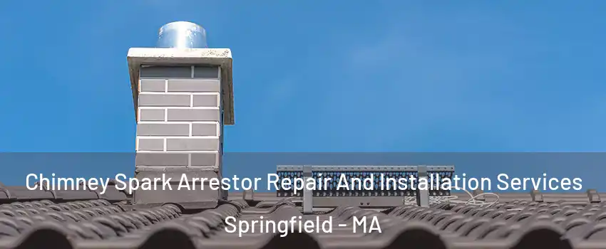  Chimney Spark Arrestor Repair And Installation Services Springfield - MA