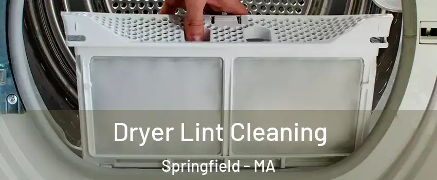  Dryer Lint Cleaning Springfield - MA