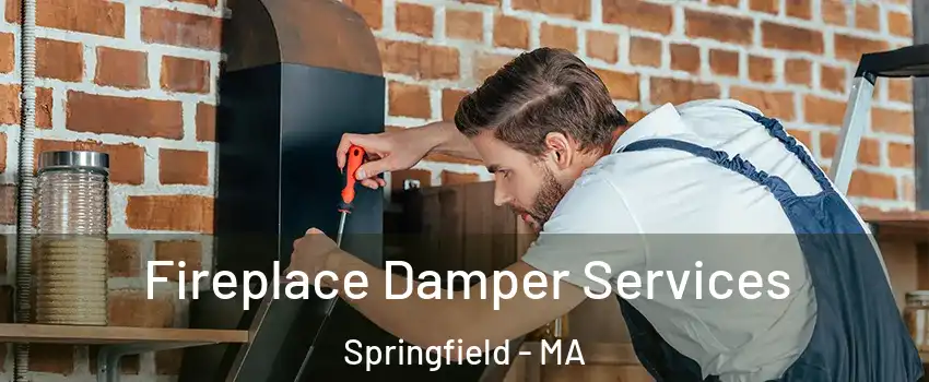  Fireplace Damper Services Springfield - MA