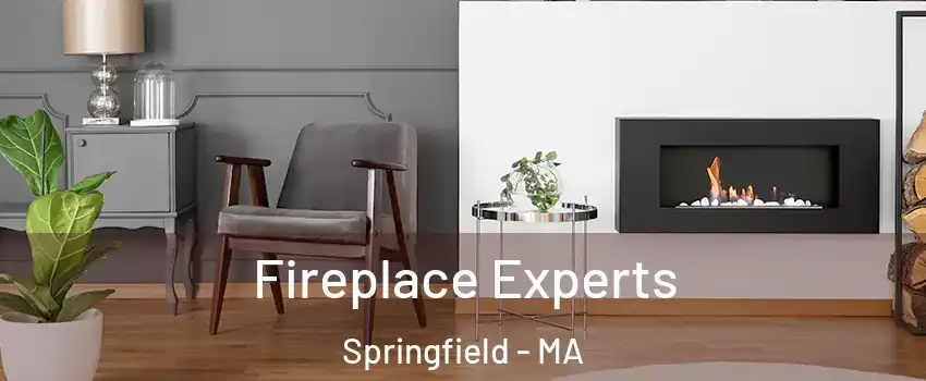  Fireplace Experts Springfield - MA