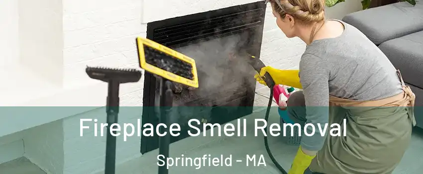  Fireplace Smell Removal Springfield - MA