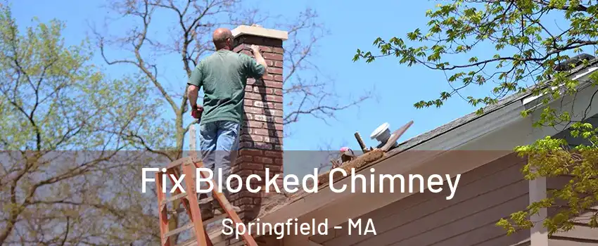  Fix Blocked Chimney Springfield - MA