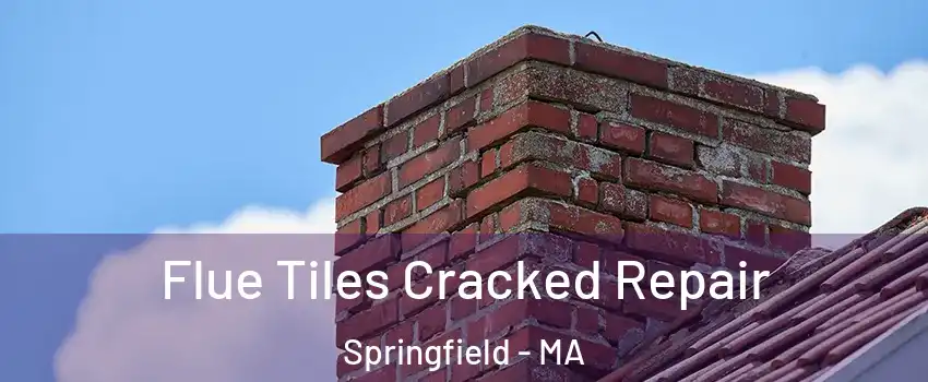  Flue Tiles Cracked Repair Springfield - MA
