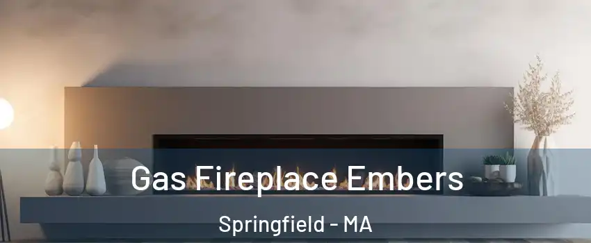  Gas Fireplace Embers Springfield - MA