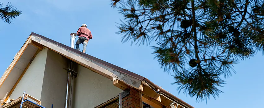 Birds Removal Contractors from Chimney in Springfield, MA