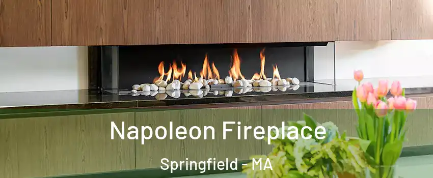  Napoleon Fireplace Springfield - MA