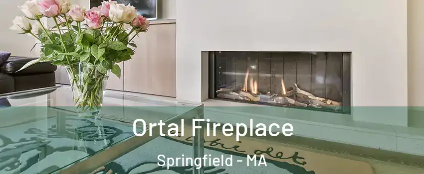 Ortal Fireplace Springfield - MA