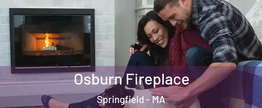  Osburn Fireplace Springfield - MA