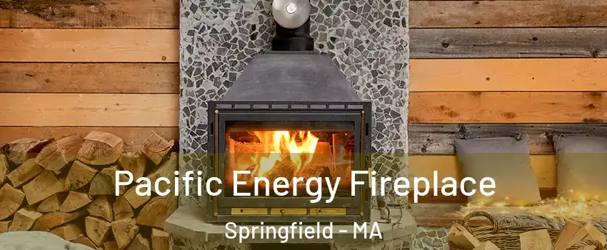  Pacific Energy Fireplace Springfield - MA