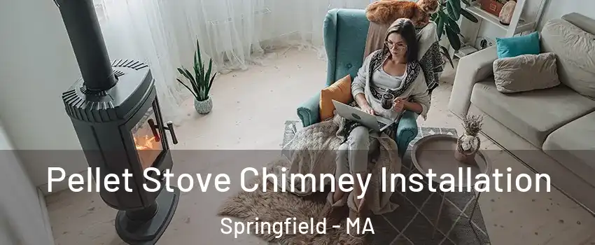  Pellet Stove Chimney Installation Springfield - MA